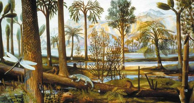 Carboniferous forest with ancient Fern Allies (Stanford University)